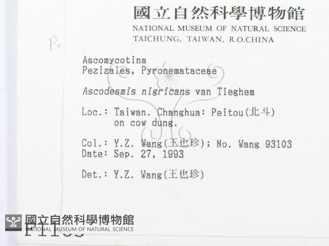 登錄號:F0001185藏品圖，第2張