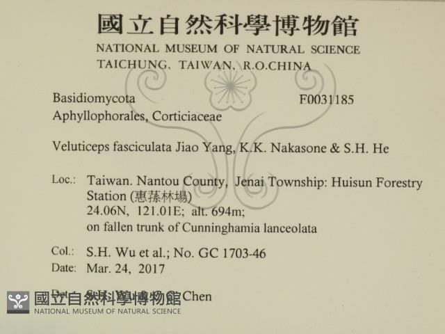 登錄號:F0031185藏品圖，第2張