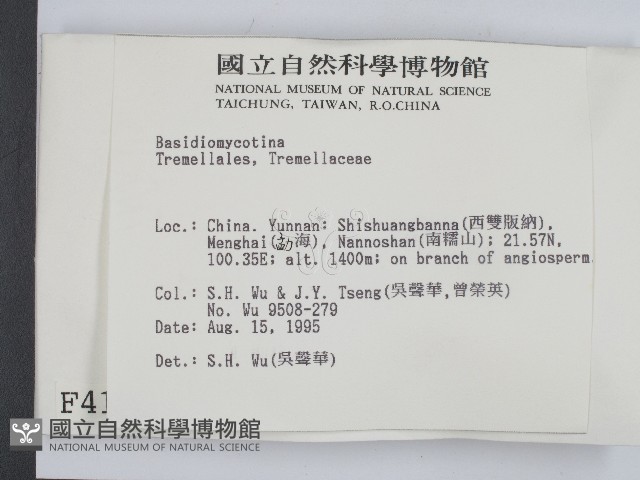 登錄號:F0004185藏品圖，第2張
