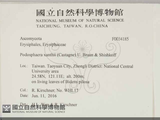 登錄號:F0034185藏品圖，第2張