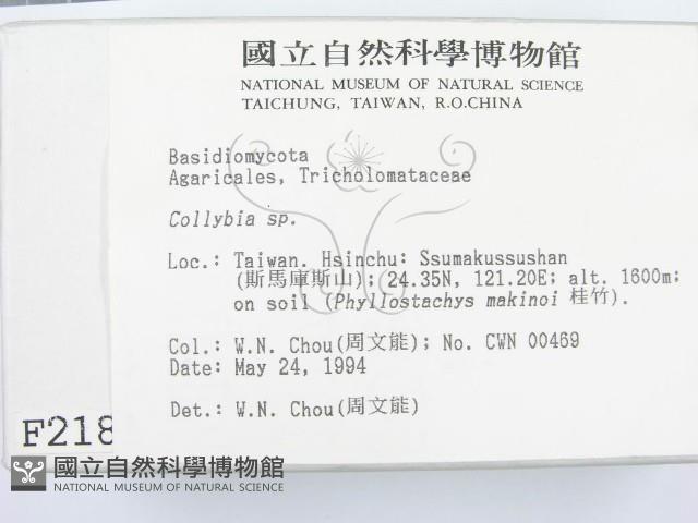 登錄號:F0002185藏品圖，第2張