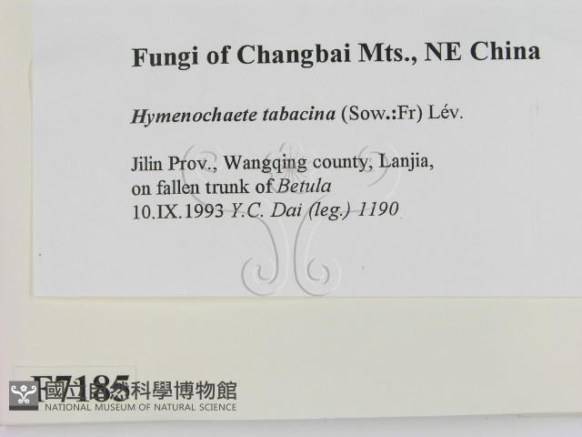 登錄號:F0007185藏品圖，第2張