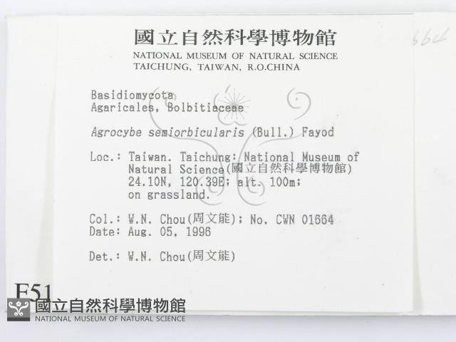 登錄號:F0005185藏品圖，第2張