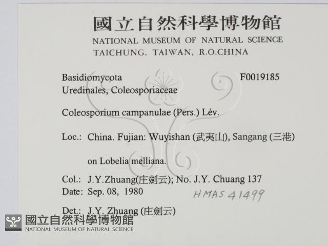 登錄號:F0019185藏品圖，第2張