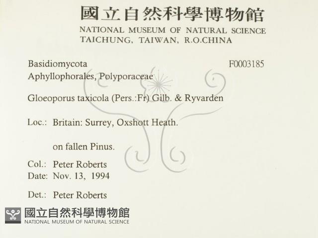 登錄號:F0003185藏品圖，第2張