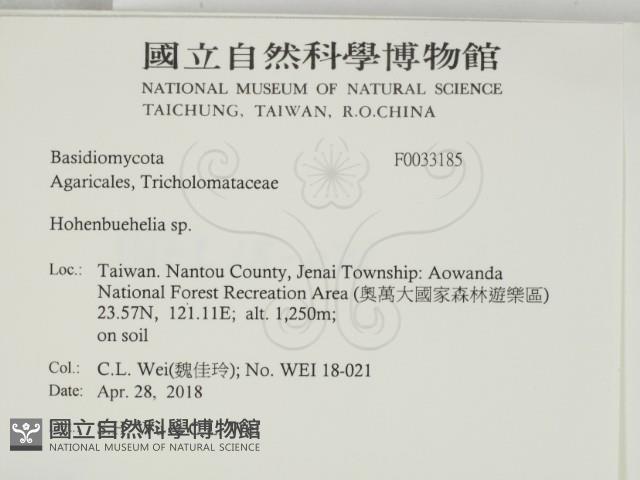 登錄號:F0033185藏品圖，第2張