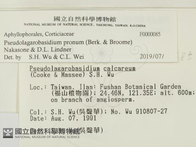 登錄號:F0000085藏品圖，第2張