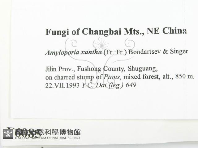 登錄號:F0006085藏品圖，第2張