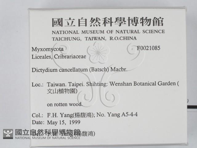 登錄號:F0021085藏品圖，第2張