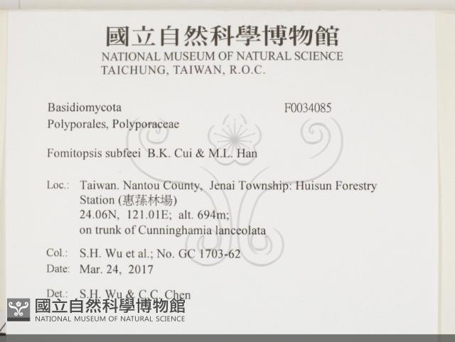 登錄號:F0034085藏品圖，第2張