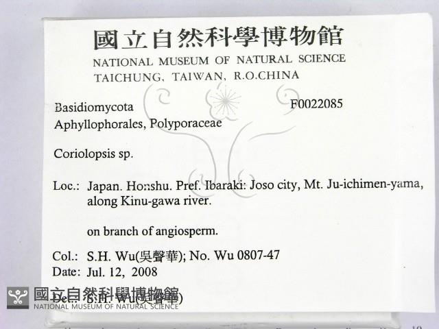 登錄號:F0022085藏品圖，第2張