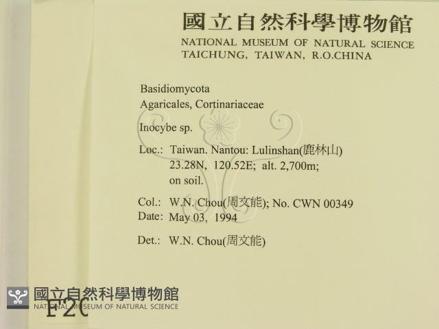 登錄號:F0002085藏品圖，第2張