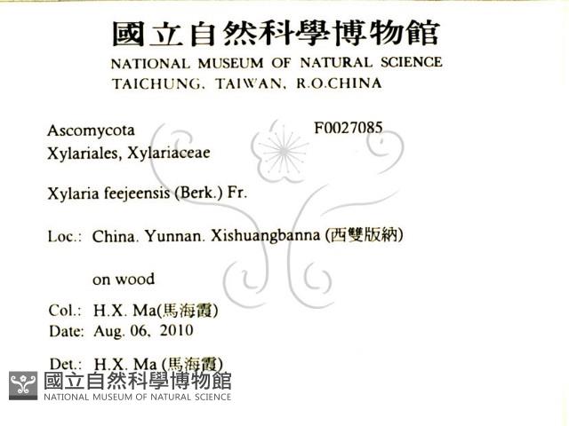 登錄號:F0027085藏品圖，第2張