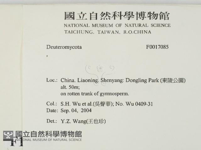登錄號:F0017085藏品圖，第2張