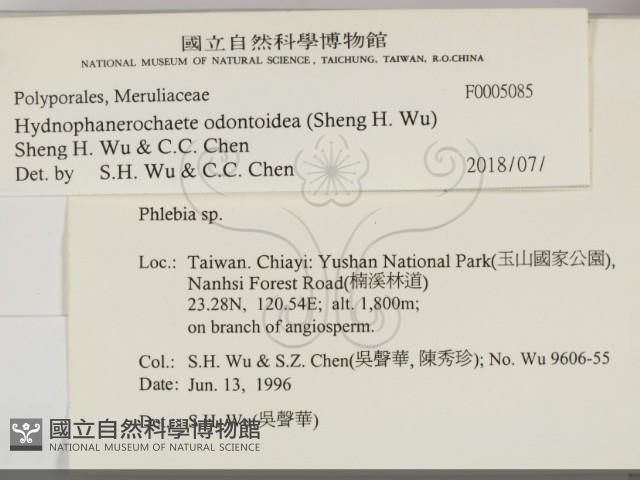 登錄號:F0005085藏品圖，第2張