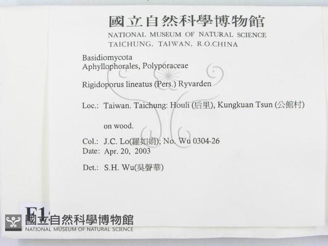 登錄號:F0015085藏品圖，第2張