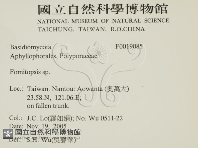 登錄號:F0019085藏品圖，第2張