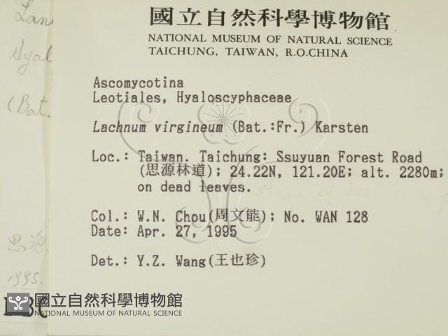 登錄號:F0003085藏品圖，第2張