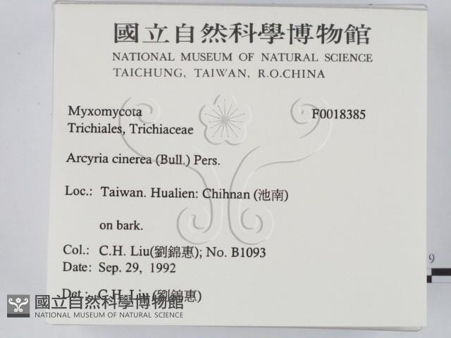 登錄號:F0018385藏品圖，第2張