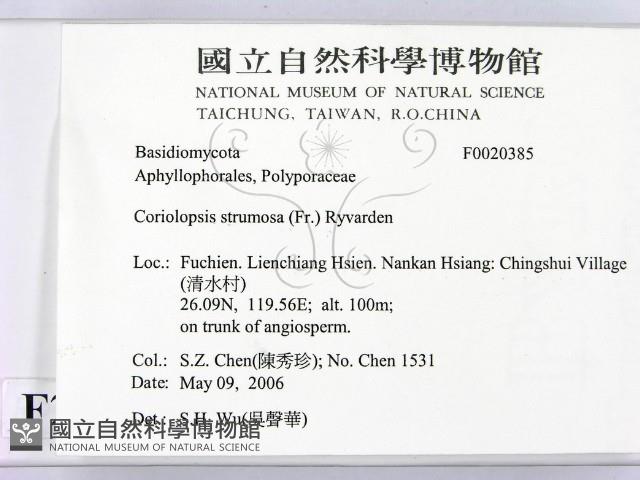 登錄號:F0020385藏品圖，第2張