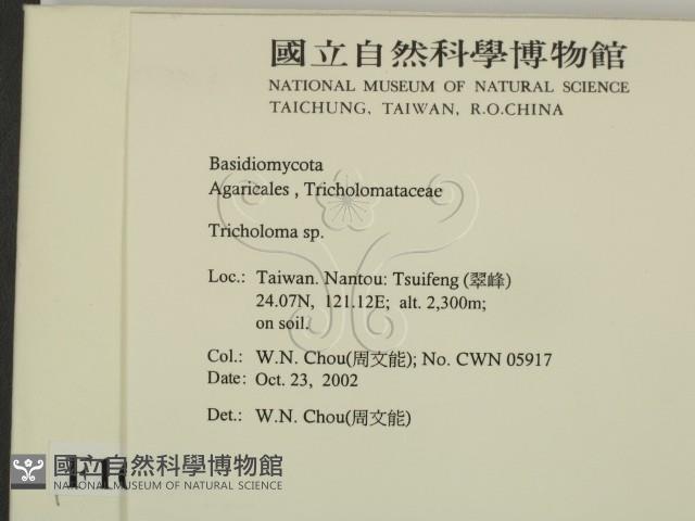 登錄號:F0016385藏品圖，第2張