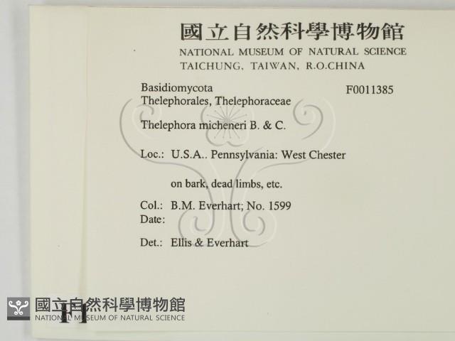 登錄號:F0011385藏品圖，第2張