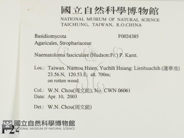 登錄號:F0024385藏品圖，第2張