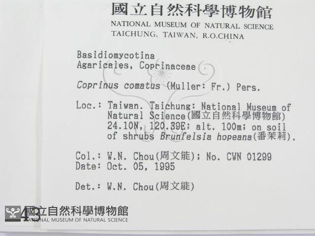 登錄號:F0004385藏品圖，第2張