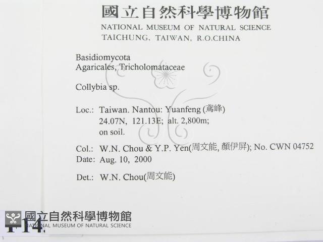 登錄號:F0014385藏品圖，第2張
