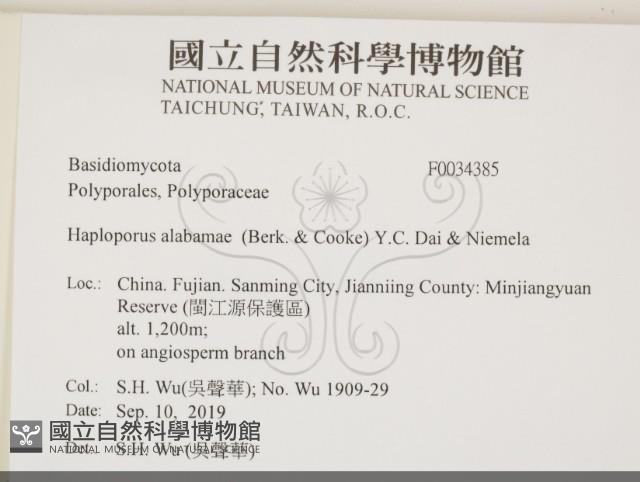 登錄號:F0034385藏品圖，第2張