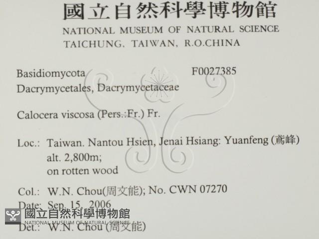 登錄號:F0027385藏品圖，第2張