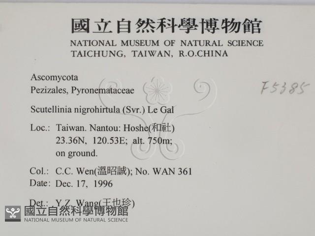 登錄號:F0005385藏品圖，第2張