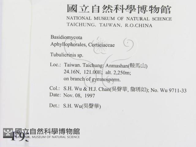 登錄號:F0009385藏品圖，第2張