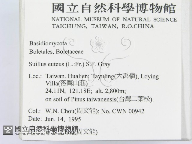 登錄號:F0003385藏品圖，第2張