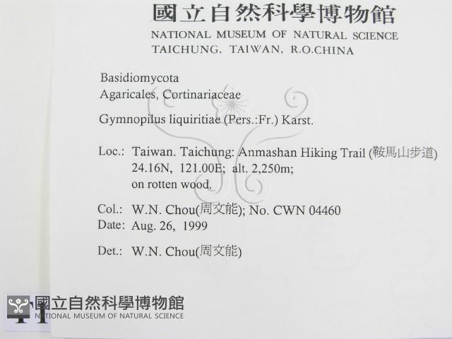 登錄號:F0013385藏品圖，第2張