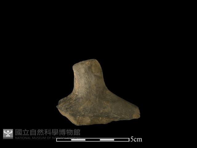 陶蓋鈕藏品圖，第1張