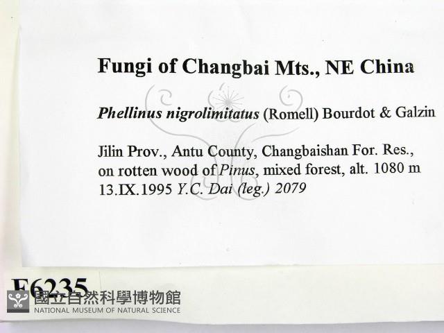 登錄號:F0006235藏品圖，第2張