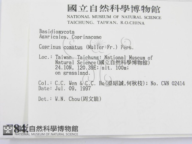登錄號:F0008435藏品圖，第2張