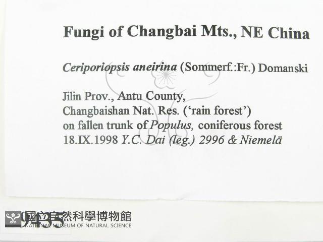 登錄號:F0009435藏品圖，第2張