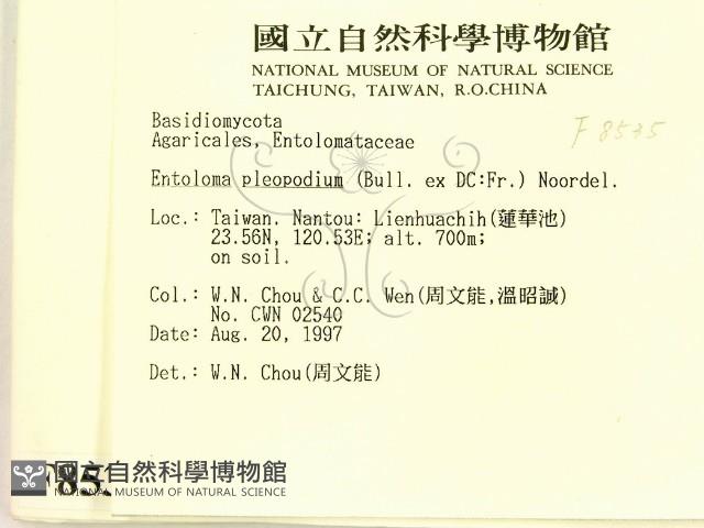 登錄號:F0008535藏品圖，第2張