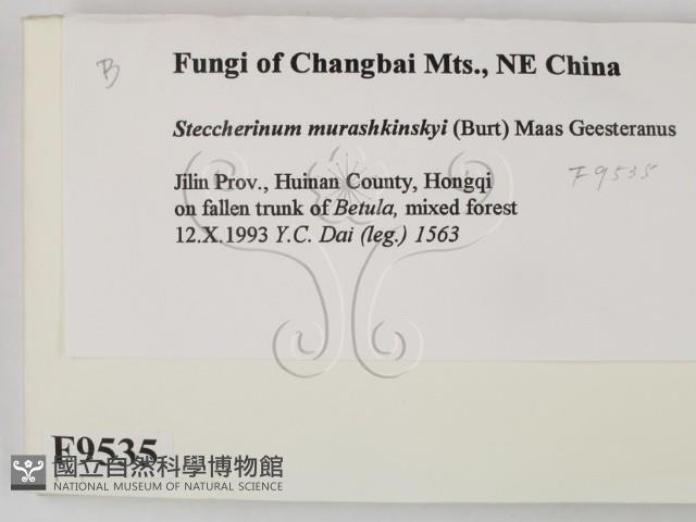 登錄號:F0009535藏品圖，第2張