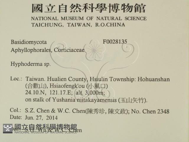 登錄號:F0028135藏品圖，第2張
