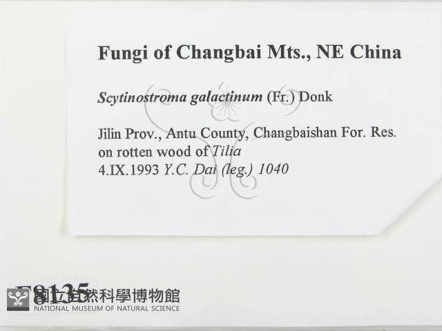 登錄號:F0008135藏品圖，第2張