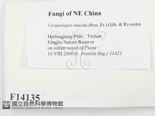 登錄號:F0014135藏品圖，第2張