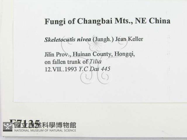 登錄號:F0007135藏品圖，第2張