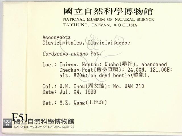 登錄號:F0005135藏品圖，第2張