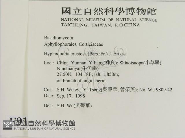 登錄號:F0009135藏品圖，第2張