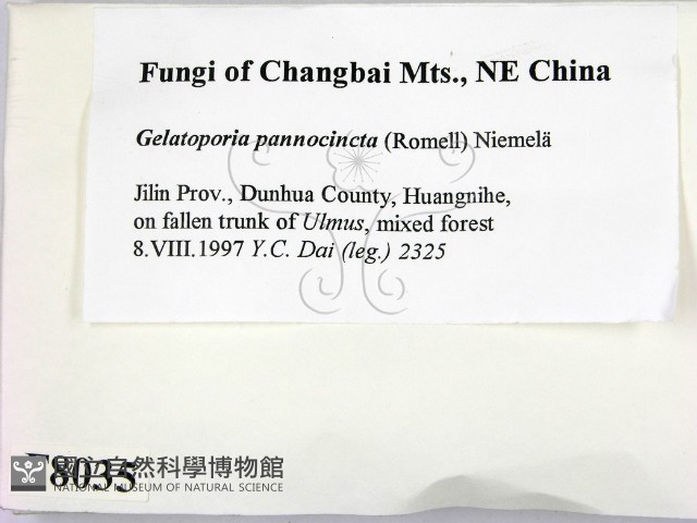 登錄號:F0008035藏品圖，第2張