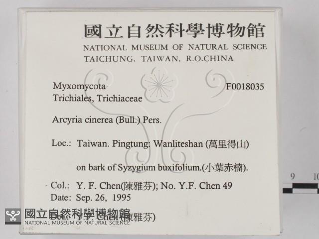 登錄號:F0018035藏品圖，第2張