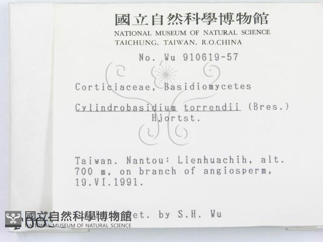 登錄號:F0000035藏品圖，第2張